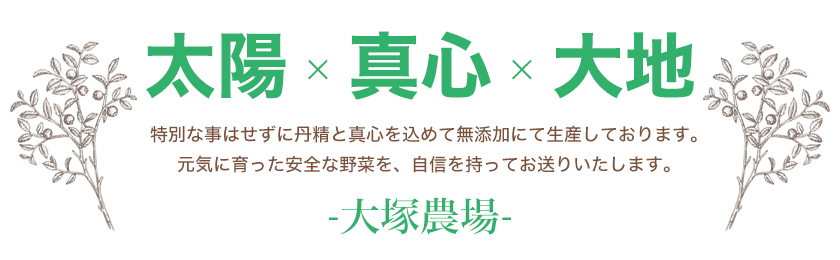 特別な事はせずに丹精と真心を込めて無添加にて生産しております。元気に育った安全な野菜を、自信を持ってお送りいたします。