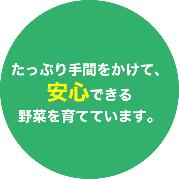 たっぷり手間をかけて、安心できる野菜を育てています。